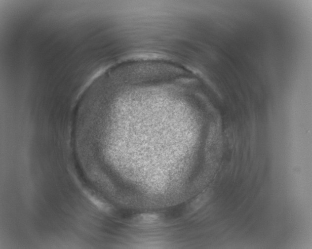 X0000054460159200508121946