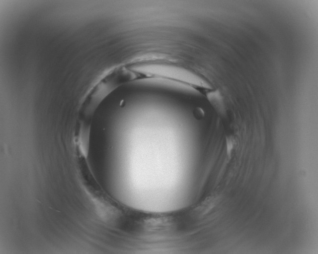 X0000054460160200508121946