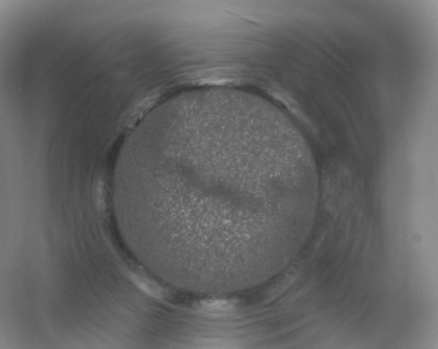 X0000054460161200508121946