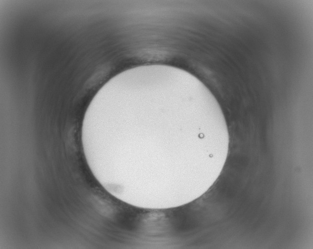 X0000054460162200508121946