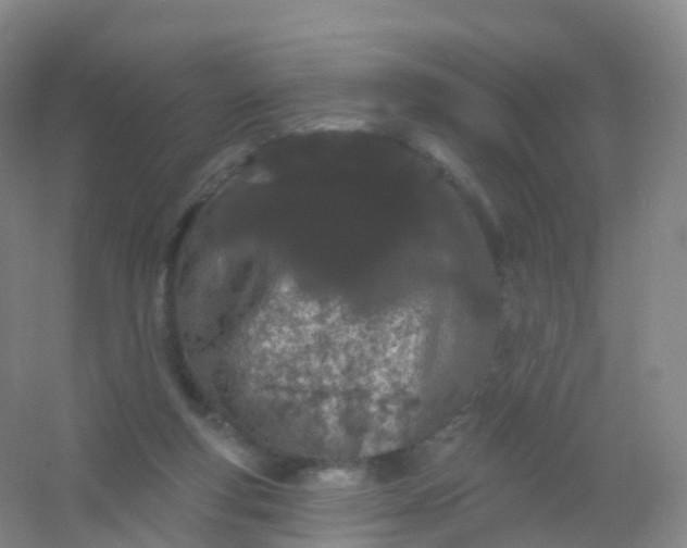 X0000054460163200508121946