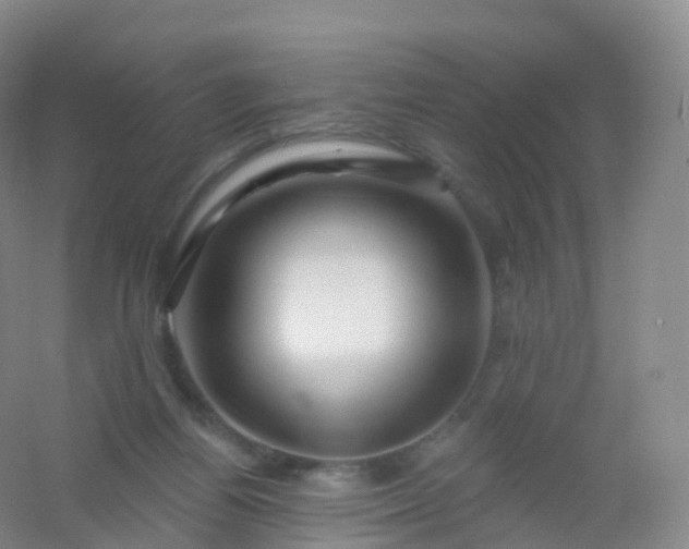 X0000054460164200508121946