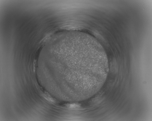 X0000054460165200508121946