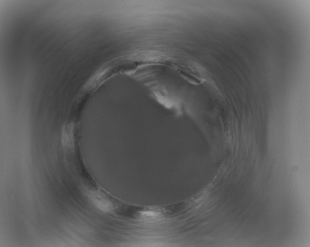 X0000054460167200508121946