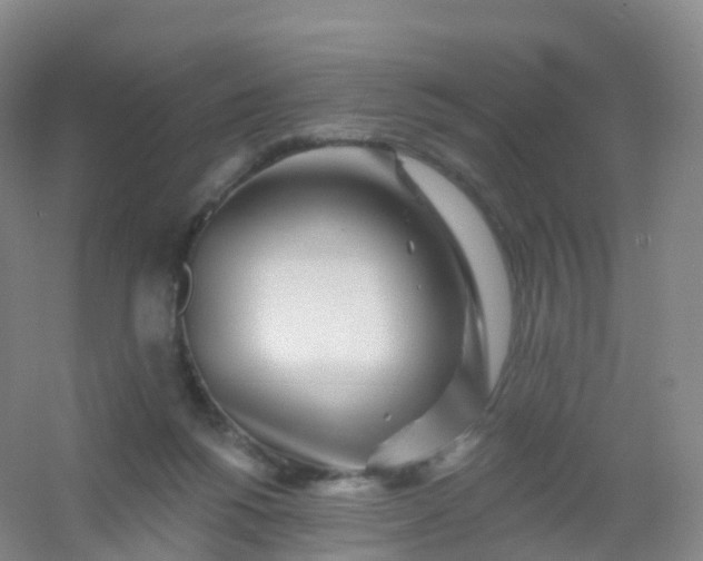 X0000054460168200508121946