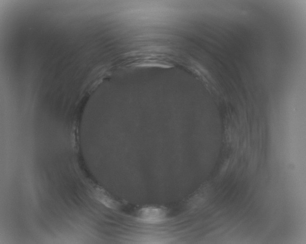 X0000054460169200508121946