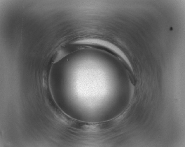 X0000054460170200508121946