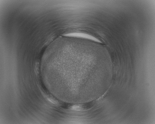 X0000054460171200508121946