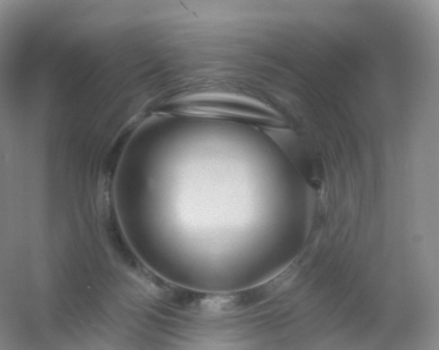 X0000054460172200508121947