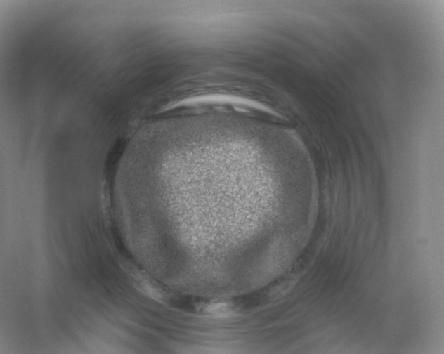 X0000054460173200508121947