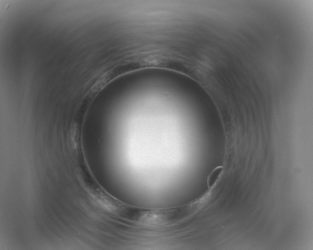 X0000054460174200508121947