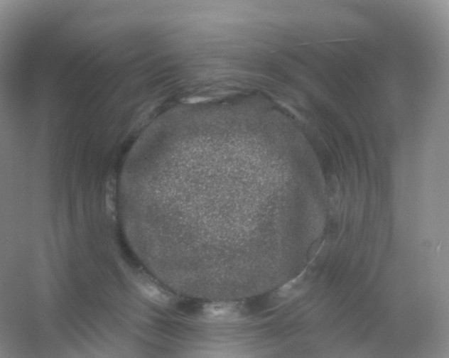 X0000054460175200508121947