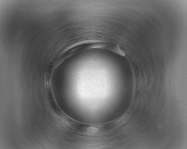 X0000054460176200508121947