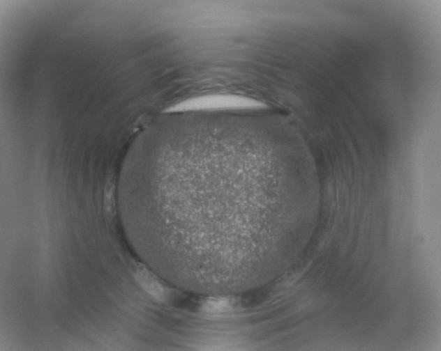 X0000054460177200508121947