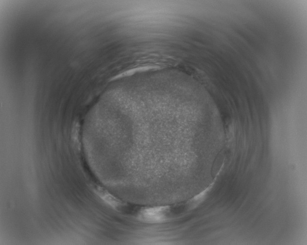 X0000054460178200508121947