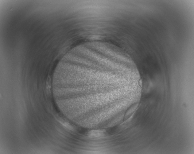 X0000054460179200508121947