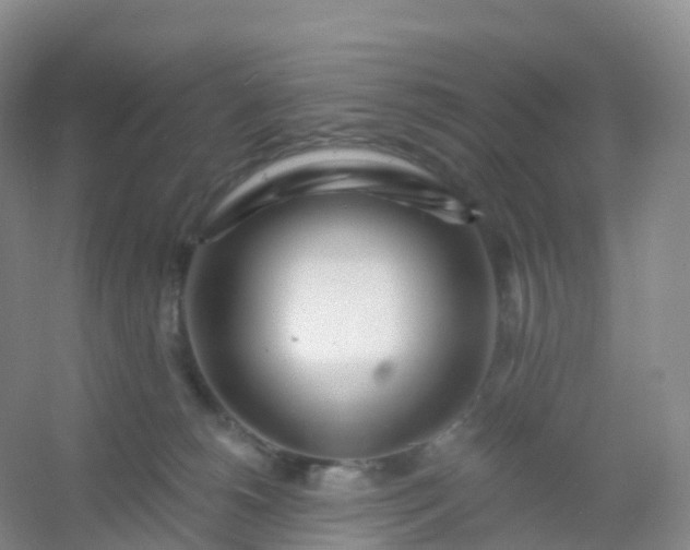 X0000054460180200508121947