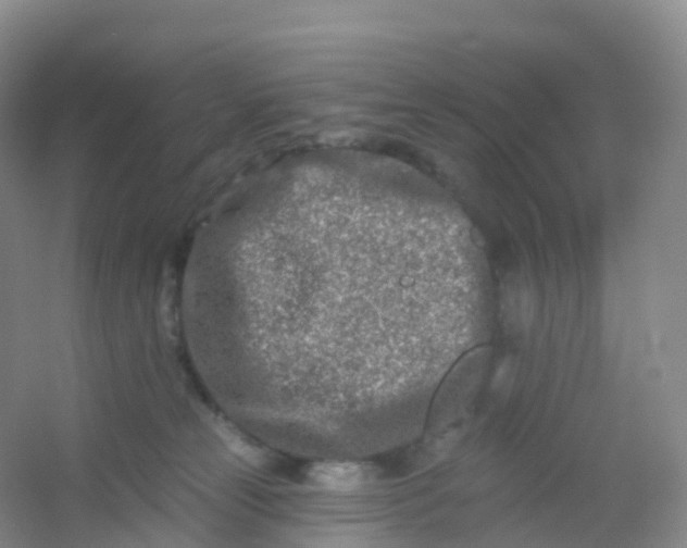 X0000054460181200508121947