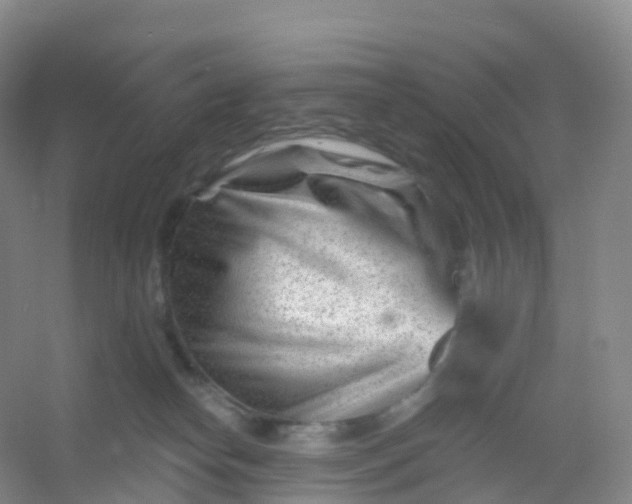 X0000054460182200508121947