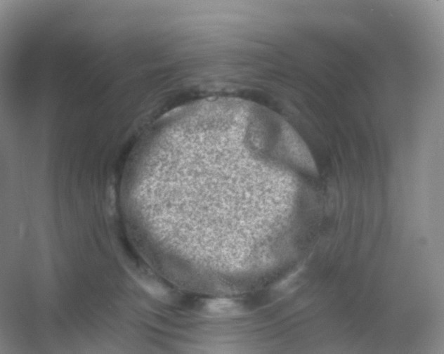 X0000054460183200508121947