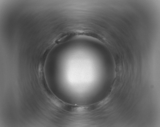 X0000054460184200508121947