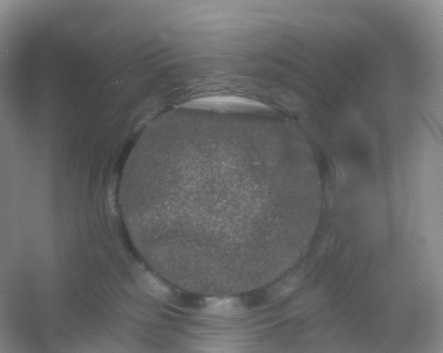 X0000054460185200508121947