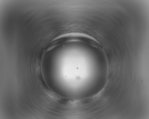 X0000054460186200508121947