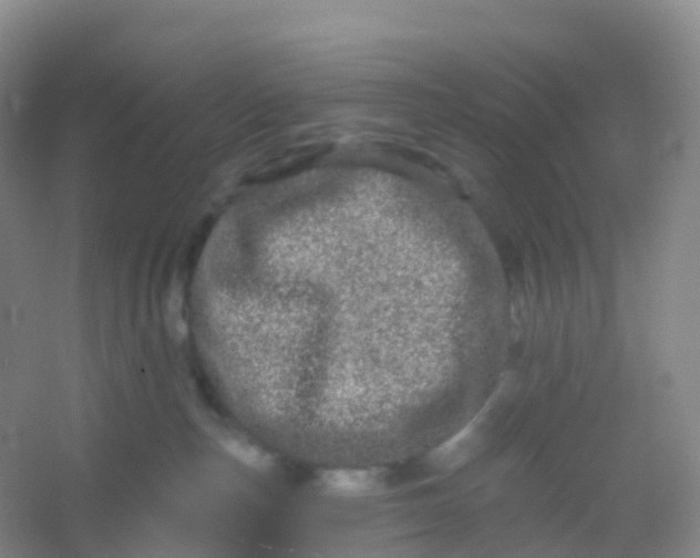 X0000054460187200508121947