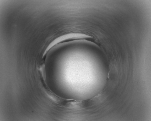 X0000054460188200508121947