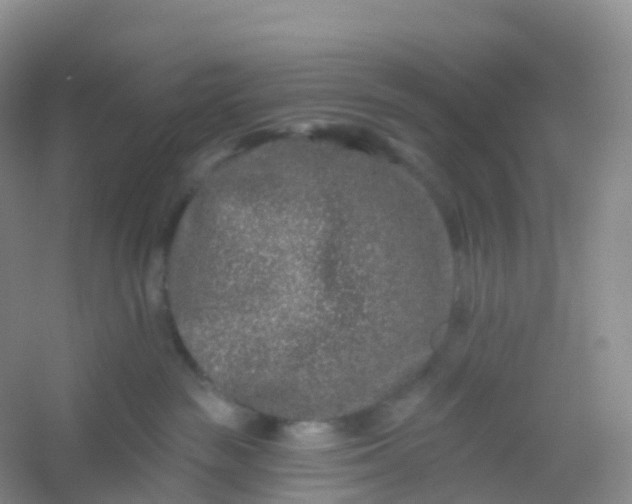 X0000054460189200508121947