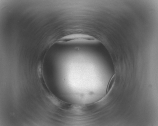 X0000054460190200508121947