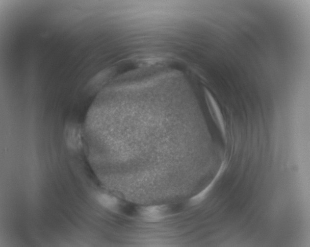 X0000054460191200508121947