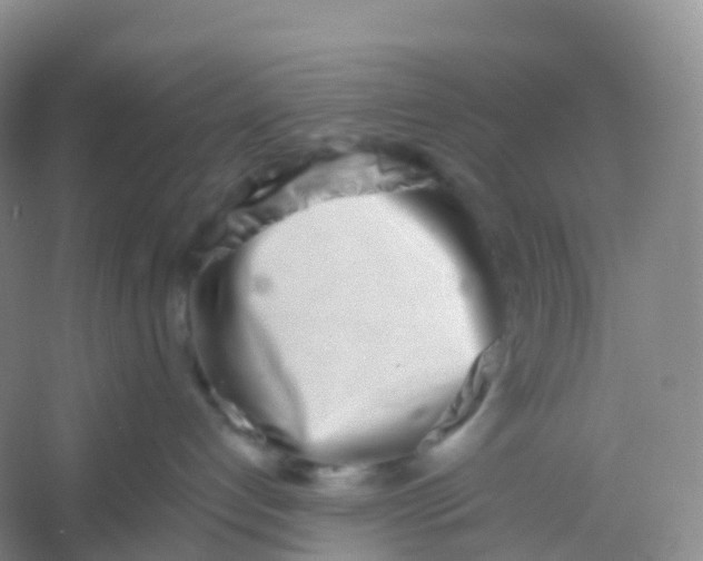 X0000054460192200508121947