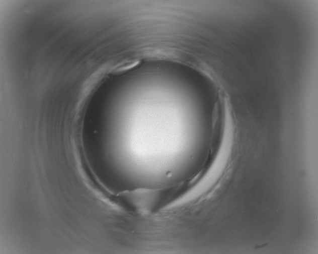 X0000054460193200508121946