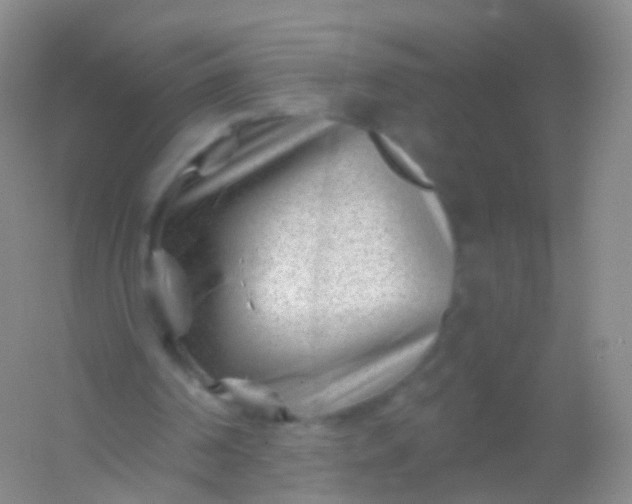 X0000054460194200508121946