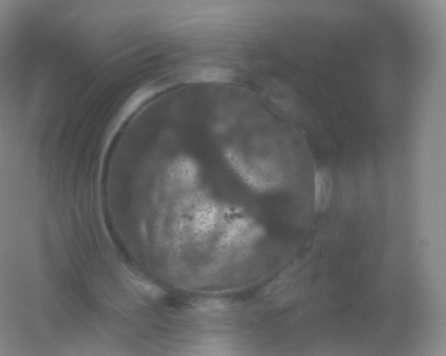 X0000054460195200508121946