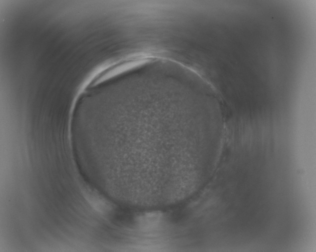 X0000054460196200508121946