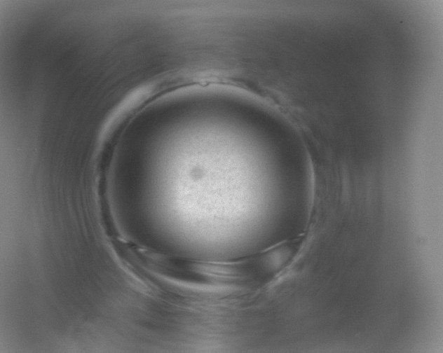 X0000054460197200508121946