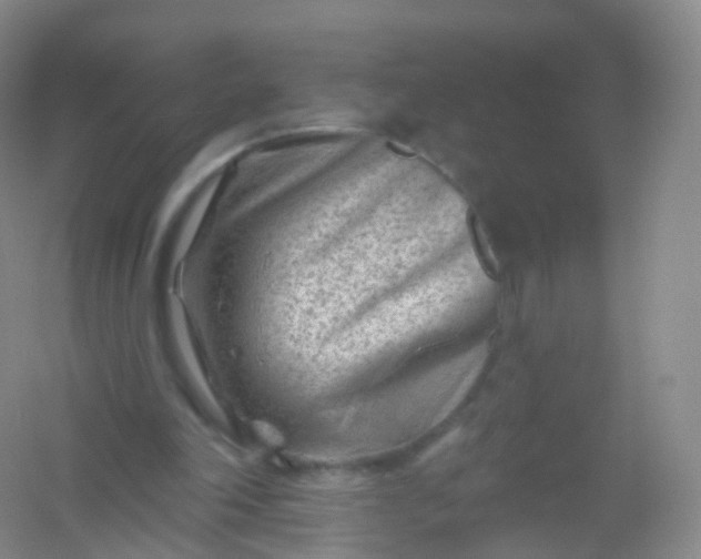 X0000054460198200508121946