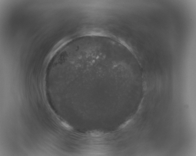 X0000054460199200508121946