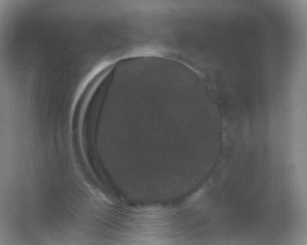 X0000054460200200508121946