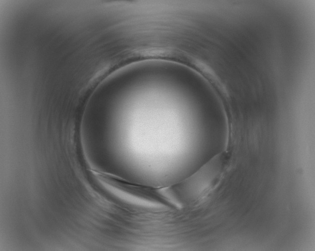 X0000054460201200508121946