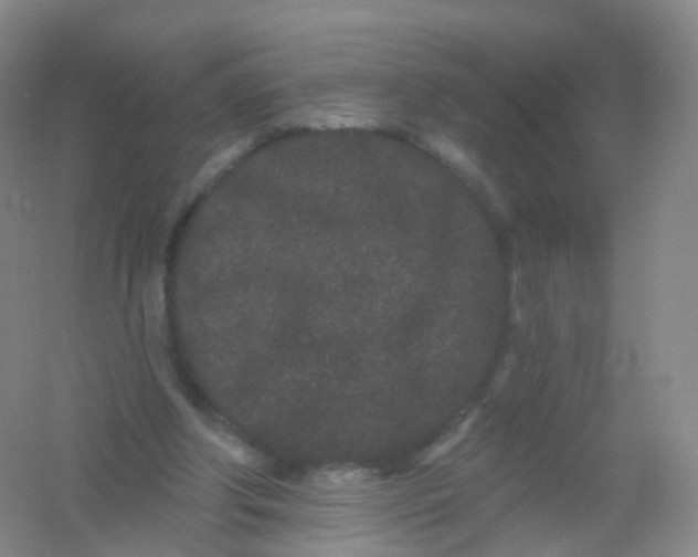 X0000054460202200508121946