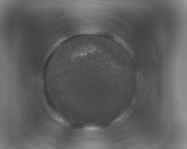 X0000054460203200508121946