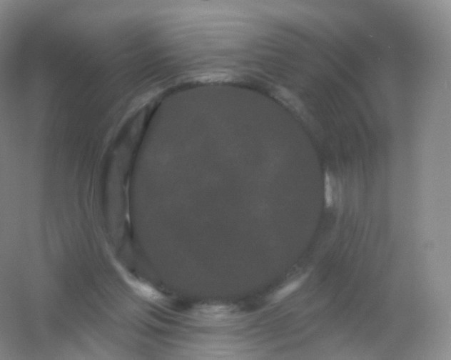 X0000054460205200508121946