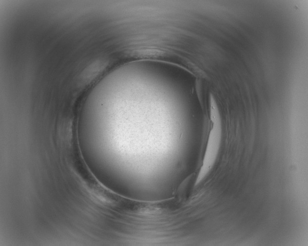 X0000054460206200508121946