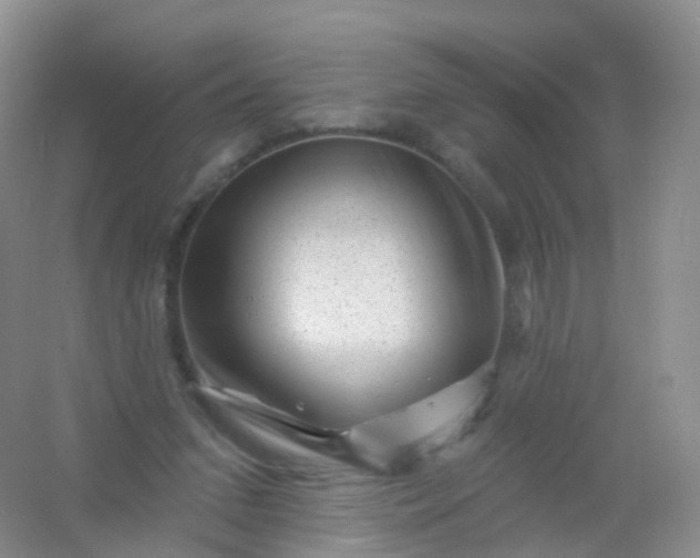 X0000054460207200508121946