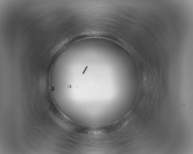 X0000054460208200508121946