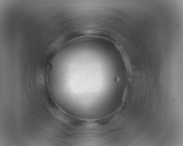 X0000054460210200508121946