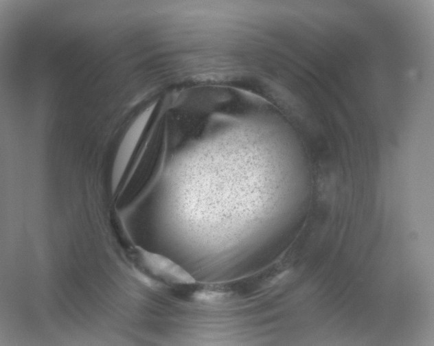 X0000054460211200508121946